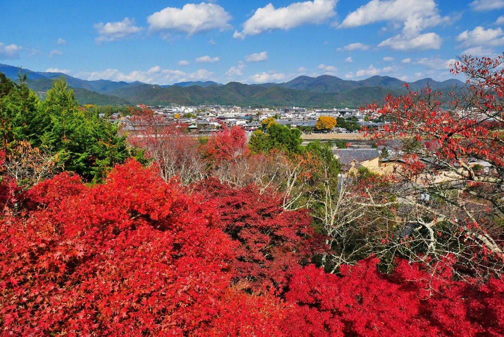 法輪寺の紅葉♪嵐山が一望の絶景穴場スポット 渡月橋から徒歩2分(西京)