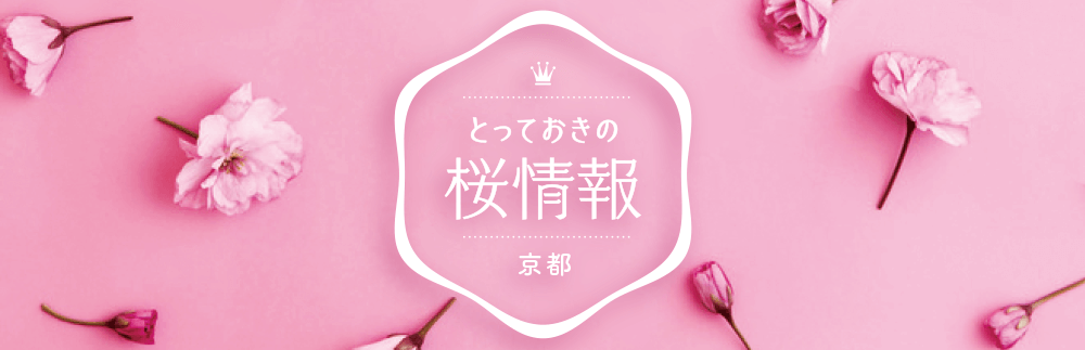 とっておきの桜情報