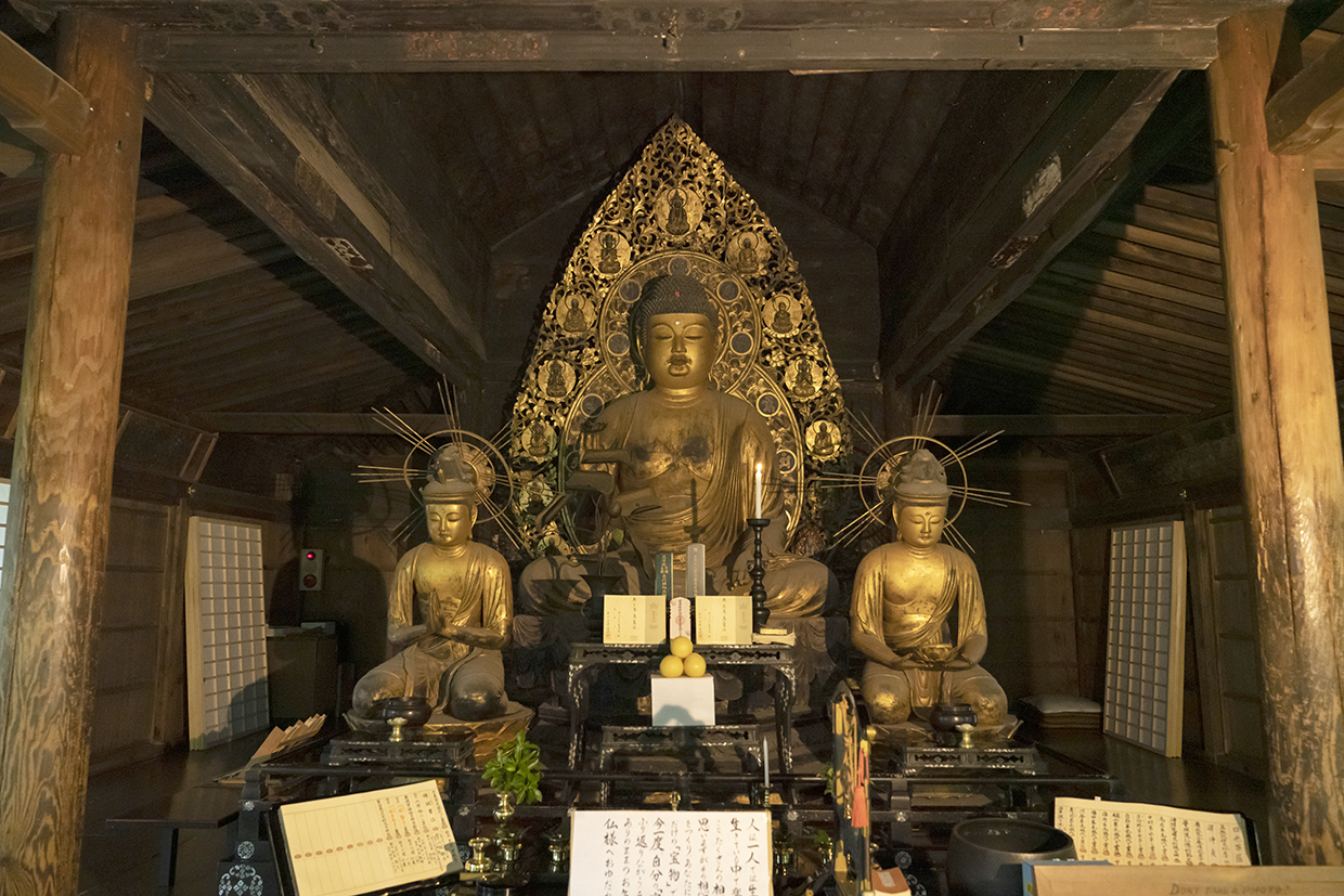 僧侶がご案内する 三千院 時間外特別拝観   とっておきの京都プロジェクト
