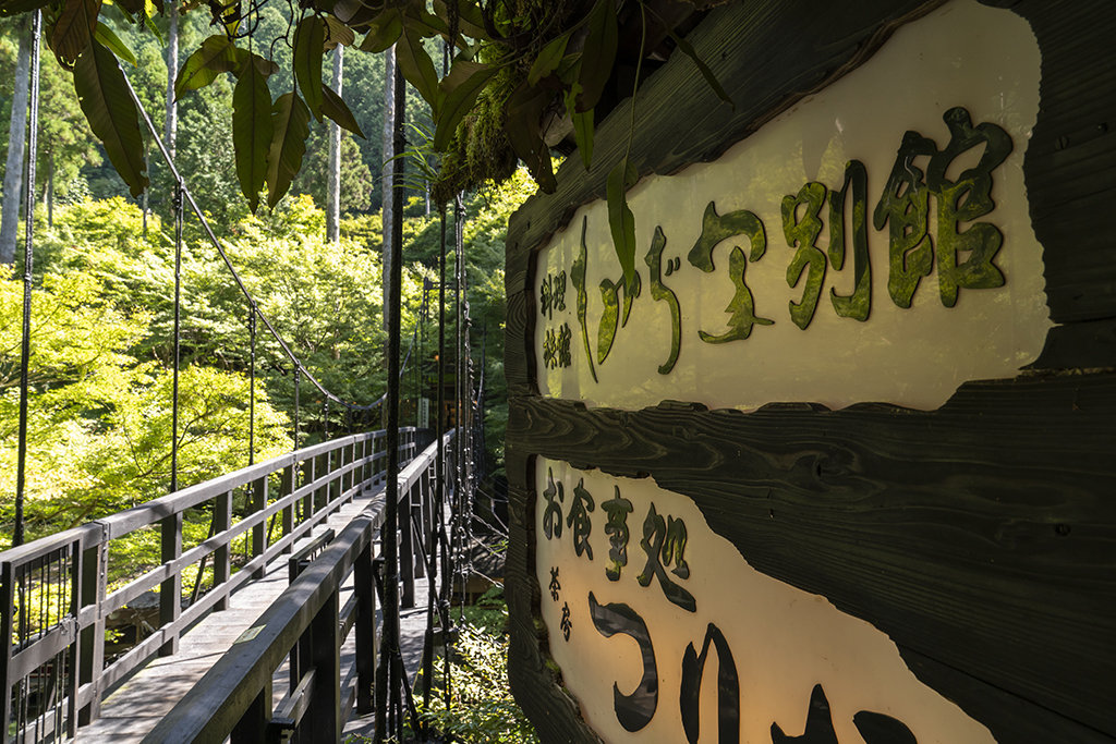 京都・三尾探訪ウォーキング〈高雄・槇尾・栂尾〉  とっておきの京都 