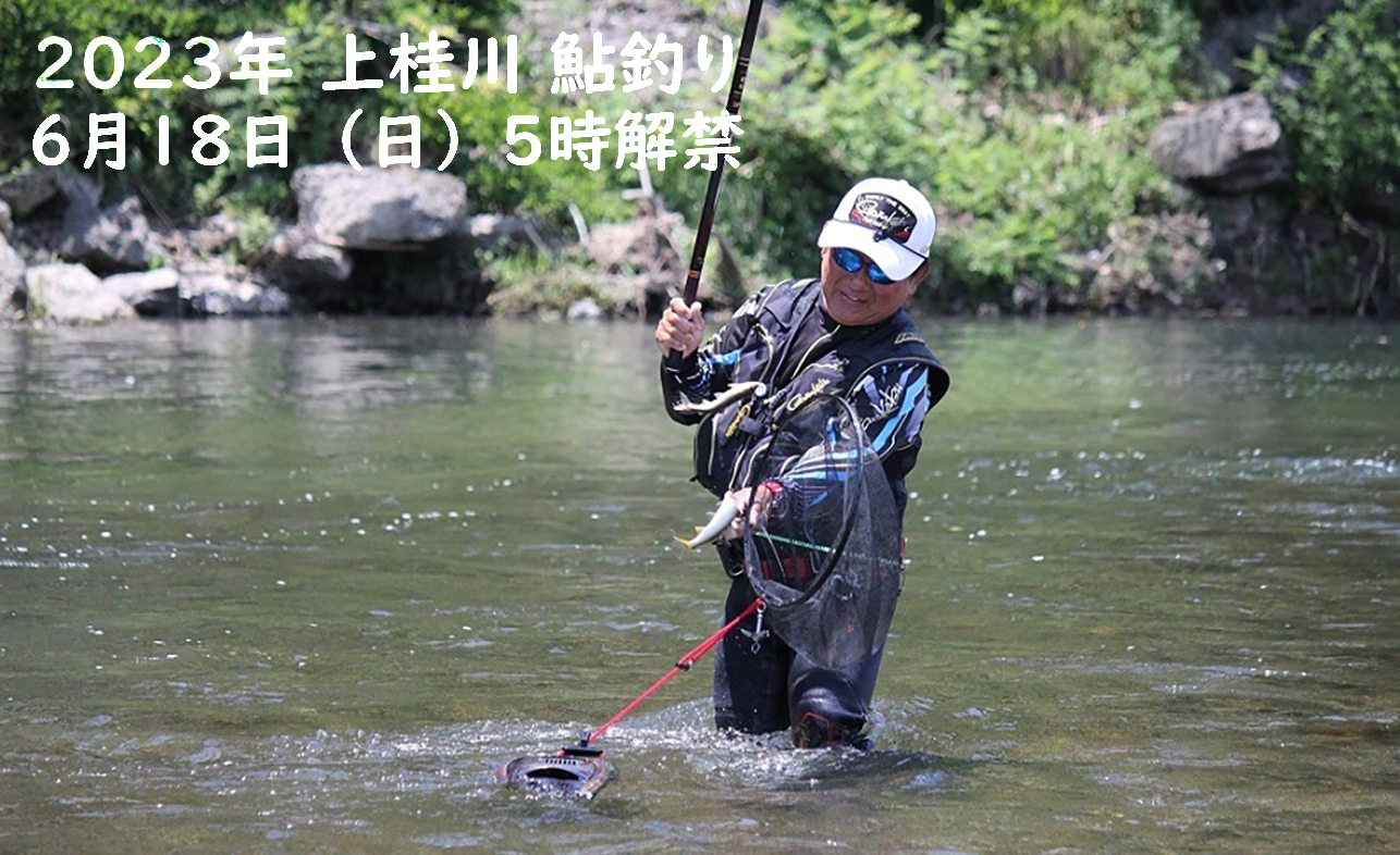 京都京北・上桂川で2023年6月18日に鮎釣り解禁♪献上鮎料理も味わえ