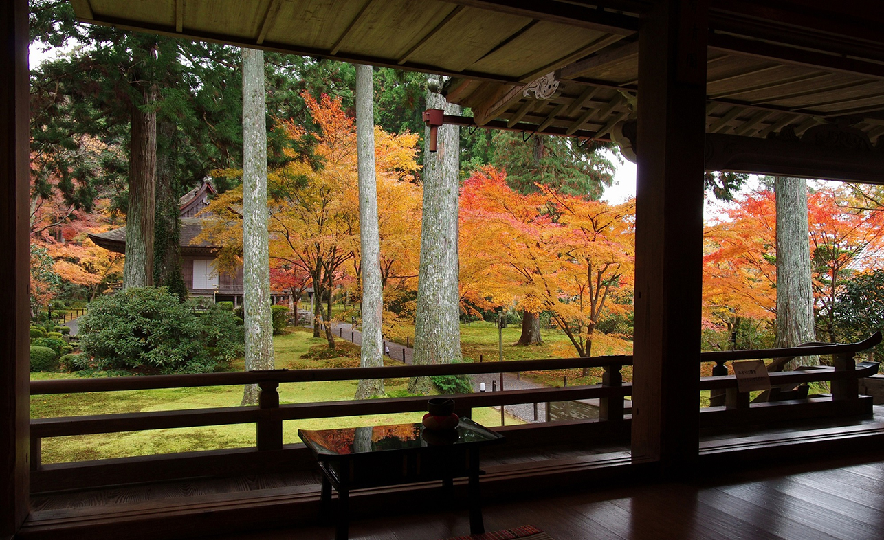 とっておきの紅葉“穴場”スポット～大原編～「癒しの里」で絶景の