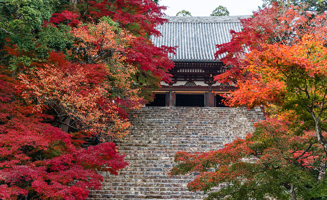 とっておきの紅葉“穴場”スポット～高雄編～JR東海「そうだ 京都、行