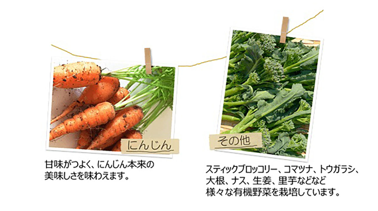 オーガニックnico」～有機栽培のこだわりイチゴ～京都西山 大原野