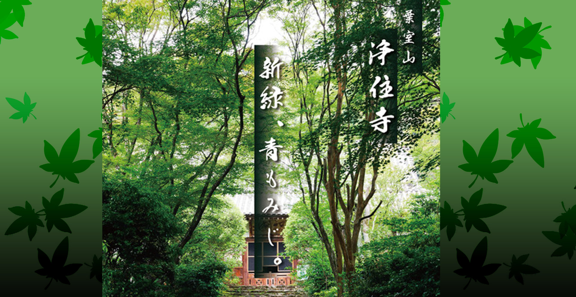 浄住寺 2024年春の特別公開(4月27日～5月6日)西京・上桂
