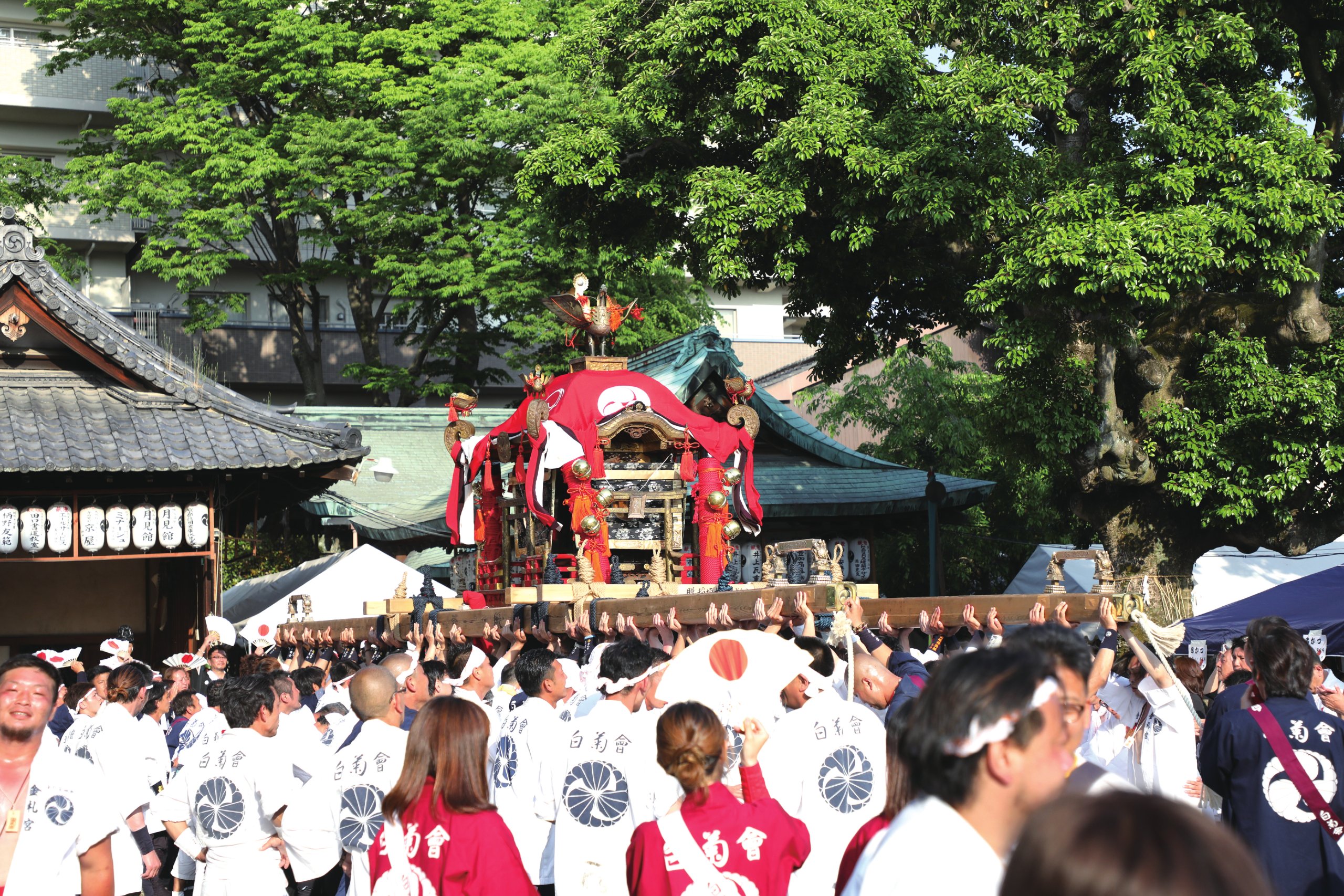 京都伏見 金札宮春季大祭「神幸祭」神輿巡行（2024年5月12日）