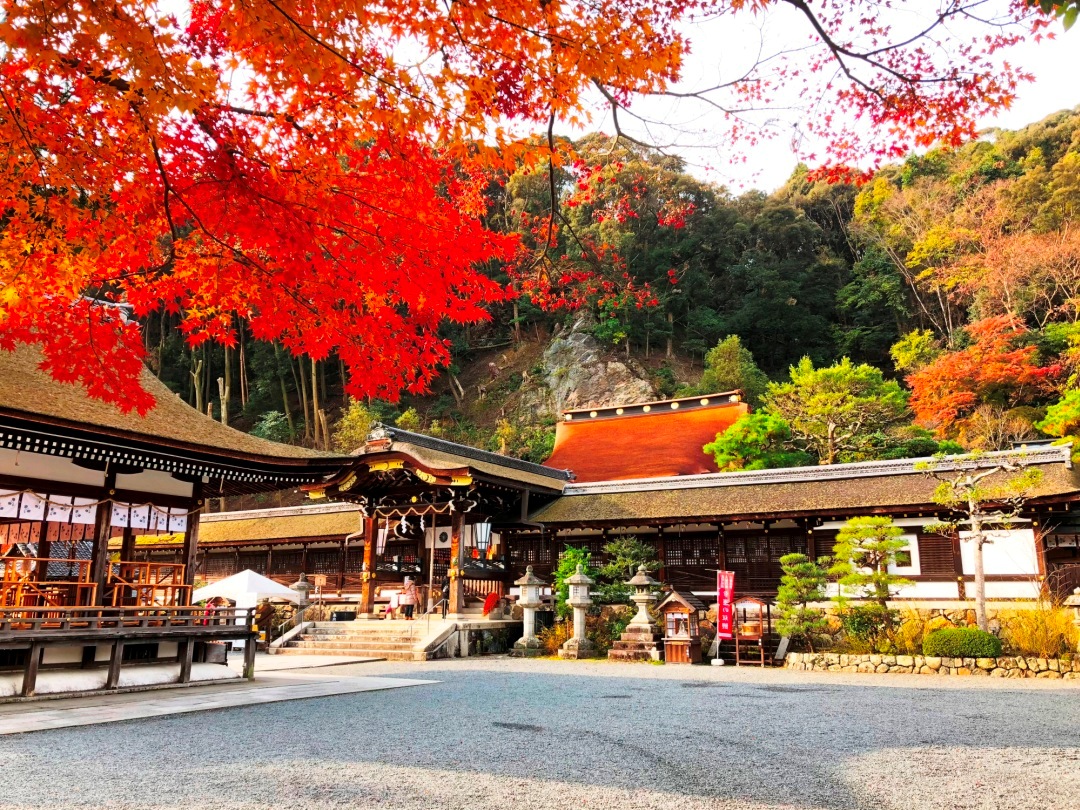 松尾大社の紅葉♪日本一のお酒の神様お膝元で紅葉観賞(西京)