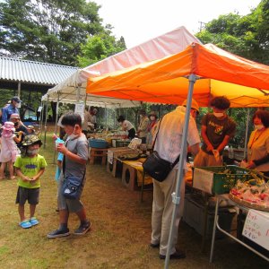ももいなつまつり（モザイク加工済）
