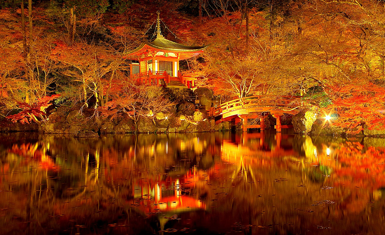 おこしバス♪京都定期観光バス ライトアップ京の紅葉「隨心院と醍醐寺」