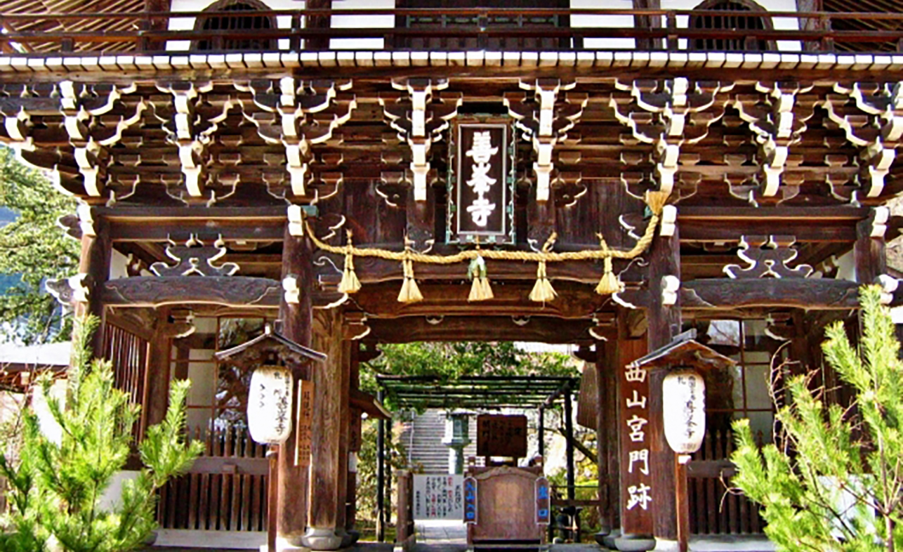 寺百選 京都西山 善峯寺～日本一の誉れ高き「遊龍の松」～ | とっておきの京都プロジェクト