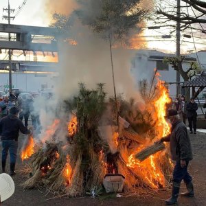 202401-14-misujinjya-tondo01