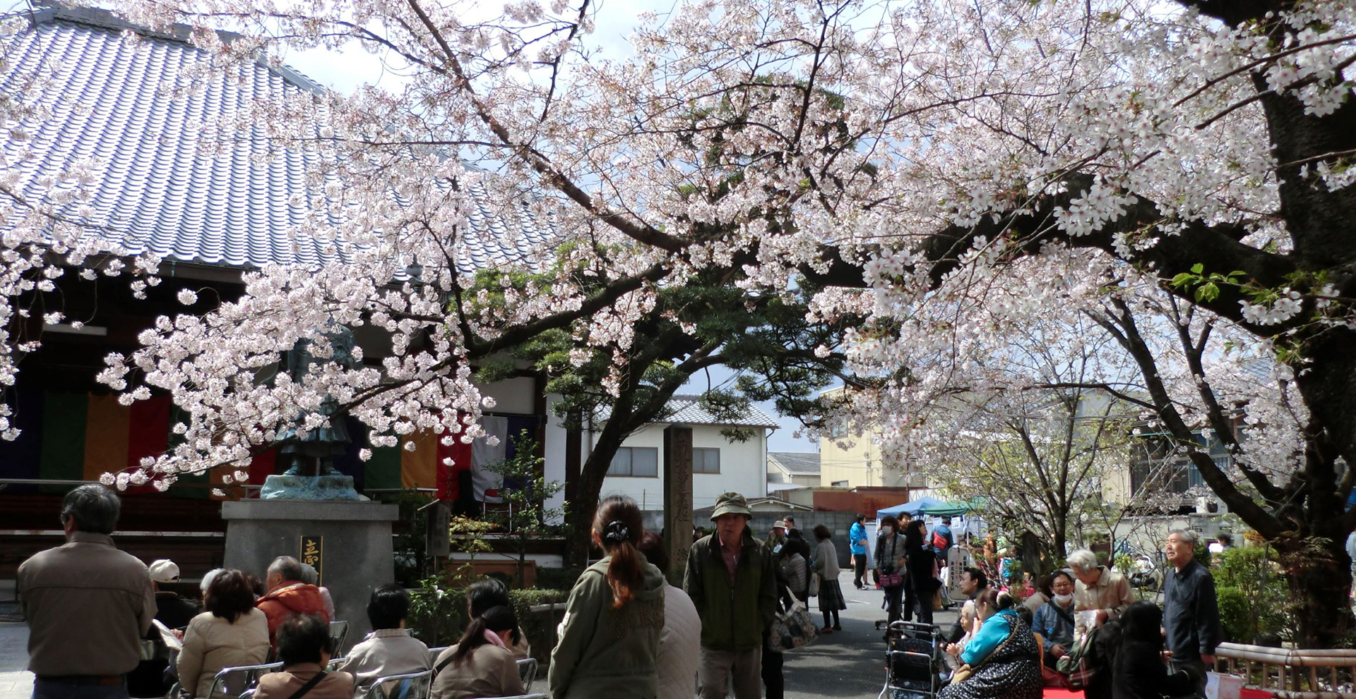 和鼓の灯り「SAKURA」