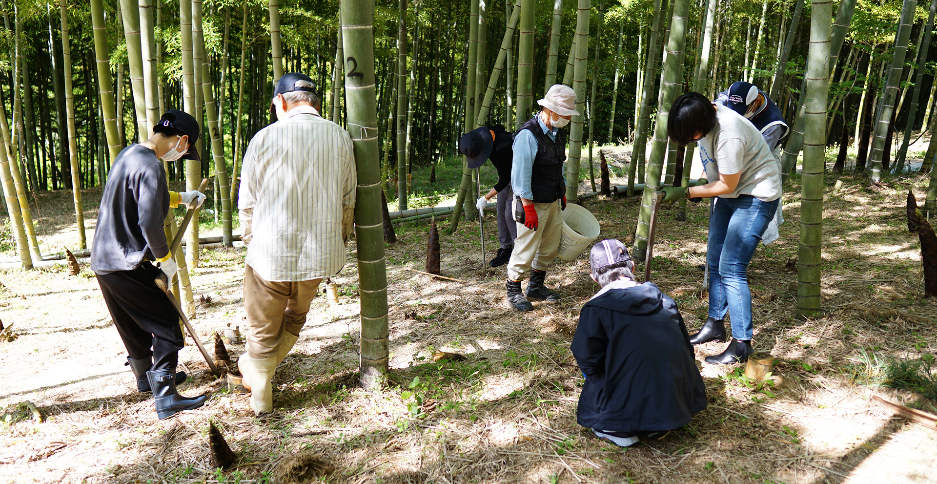 202404-20-oharano-takenoko-