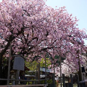 kuroda100nen2024_eye kuroda100nen2024_eye