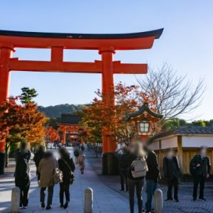 fushimiinari_eye