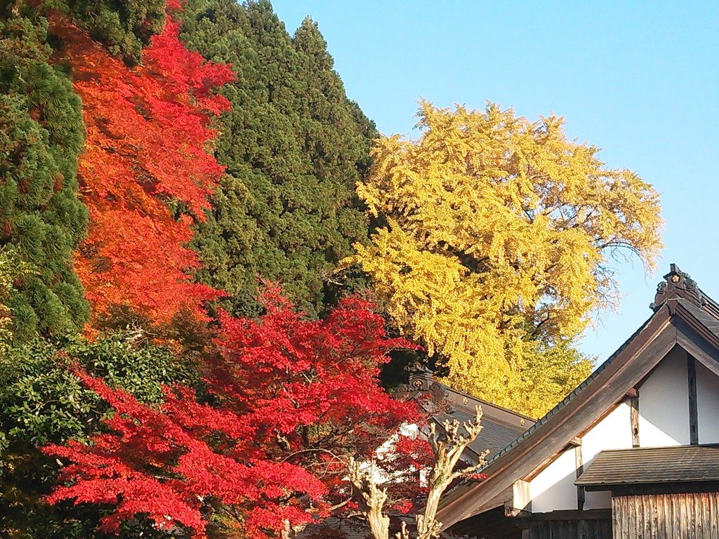 慈眼寺の紅葉♪明智光秀ゆかりの寺院(京都京北)