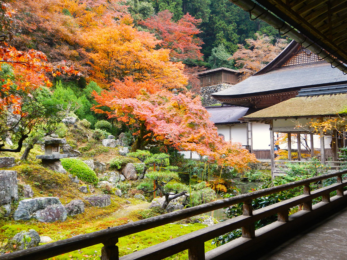 常照皇寺の紅葉♪皇室ゆかりの寺院で紅葉を愛でる(京都京北)