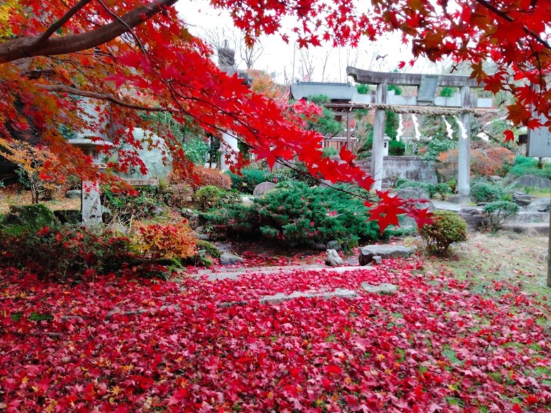 京都西京 天鏡院の紅葉♪京都西山の達人「おもてなしタクシー」イチオシの隠れ寺