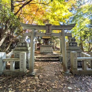 konzouji-shimonokawanbenzaiten