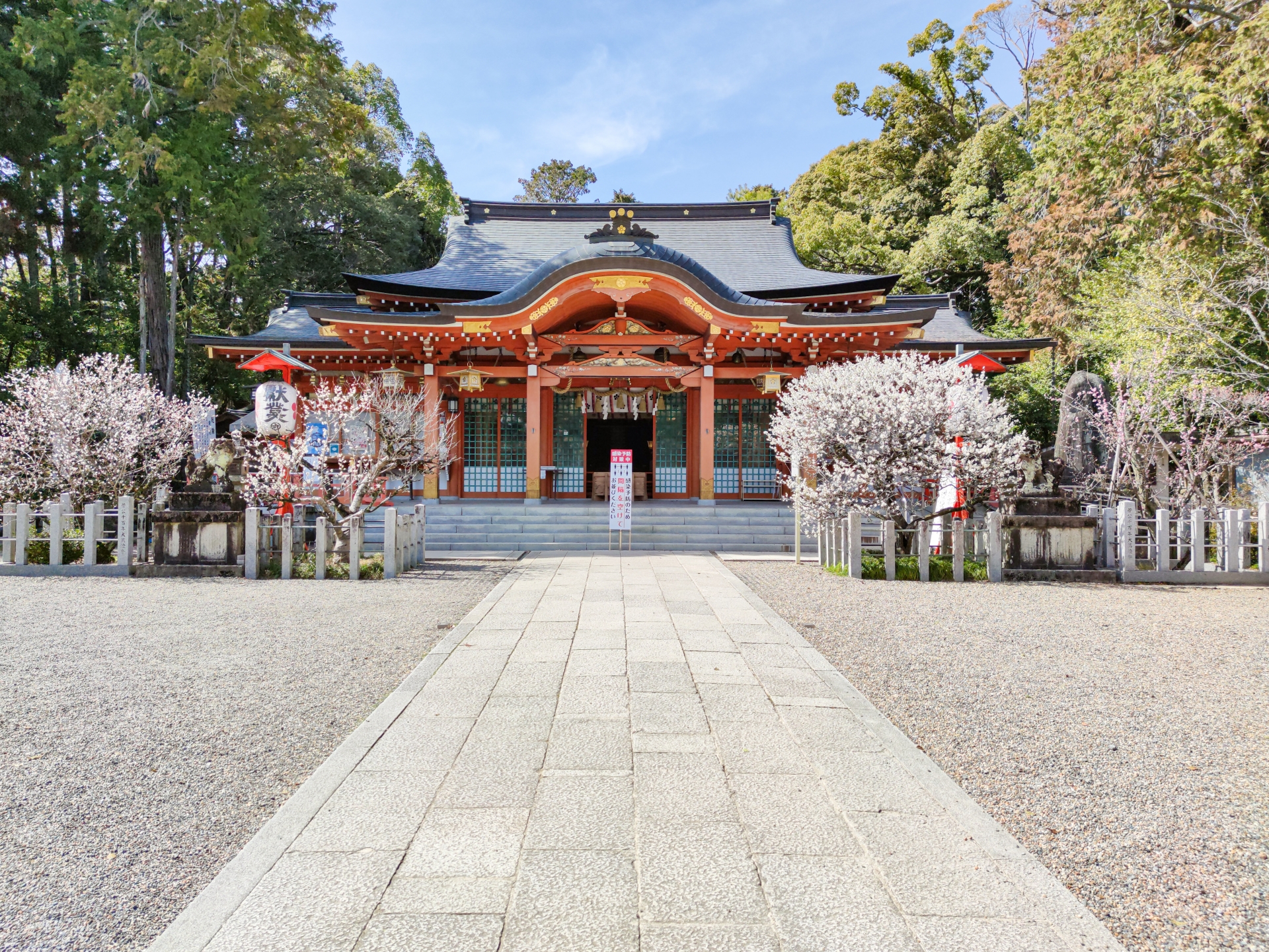 長岡天満宮「梅花祭」菅原道真公ゆかり春の神事(2025年3月8日)長岡京