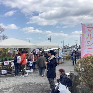 kusanotane01