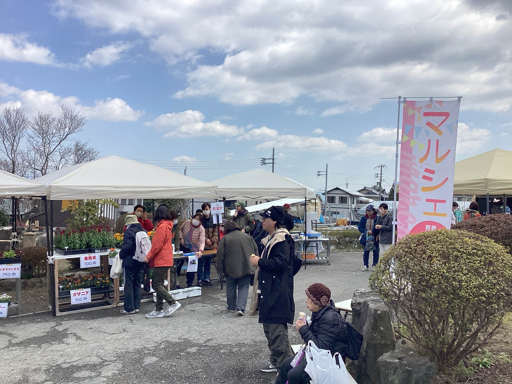 草のたね 夏フェスタ＠第3乙訓ひまわり園(2025年7月12日)京都西京