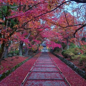 bishamondou01 bishamondou01