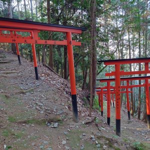 iwayajinjya01 iwayajinjya01