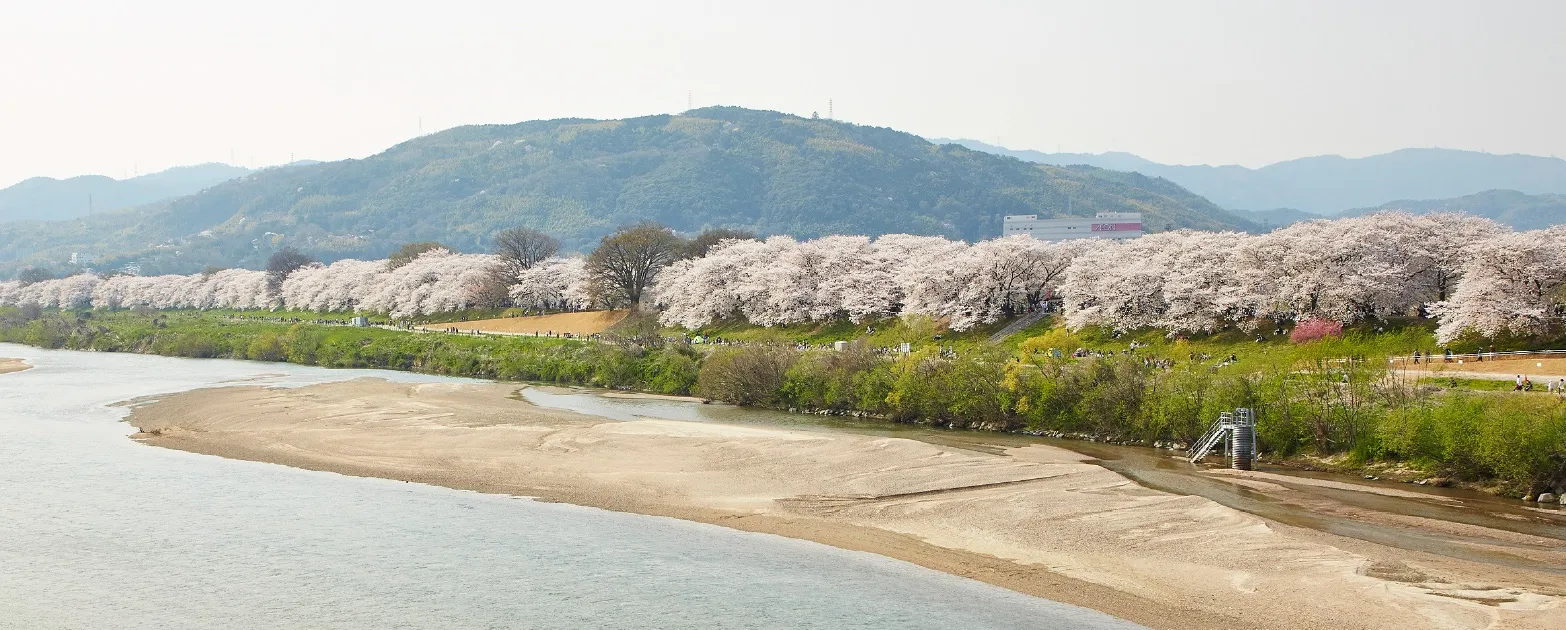 川の京都 イメージ