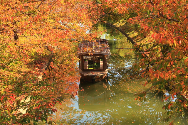 京都の紅葉“穴場”スポット伏見編・紅葉と日本酒を愉しむ「口福眼福」の旅