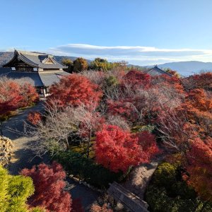 shourenin-shougundukaseiryu-den06 shourenin-shougundukaseiryu-den06