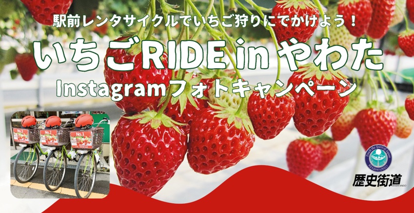 いちごRIDE in やわた2026 Instagramフォトキャンペーン＠京都八幡
