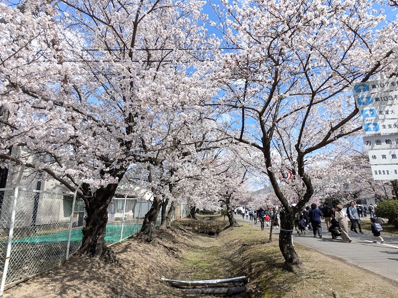 桂駐屯地一般開放♪Spring Festa@京都西京(2026年4月5日)