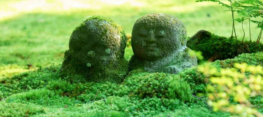 心落ち着く里山に ひっそりたたずむ古刹と名庭