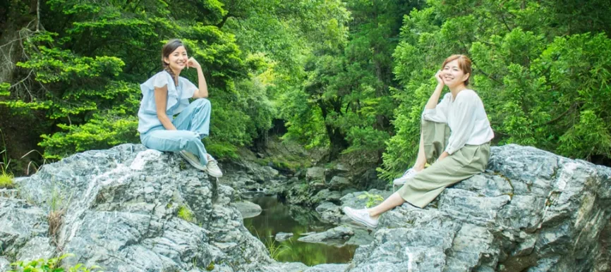三尾の山々と お寺にあふれる青もみじ
