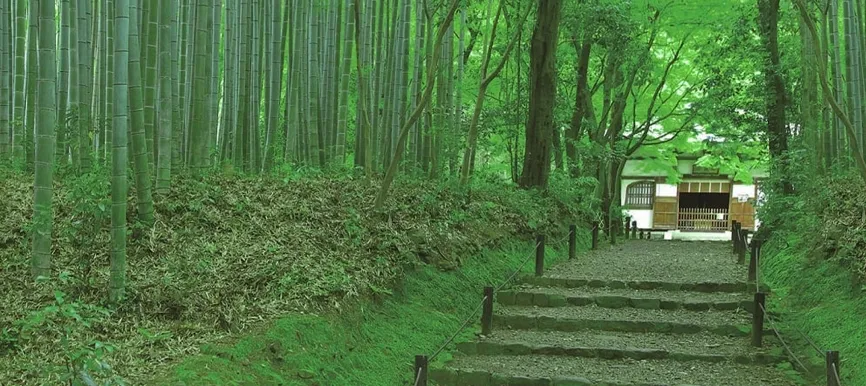 静寂に包まれた竹林と 神社仏閣を彩る四季の花々