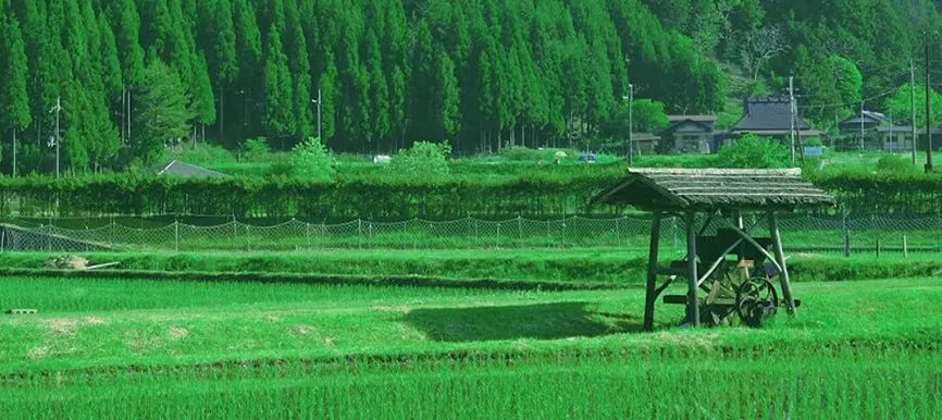 日常をはなれ 豊かな自然をまるごと体験