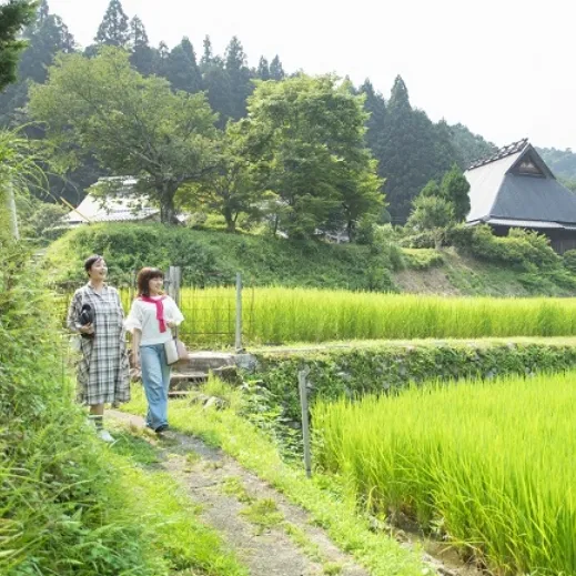 自然を満喫する