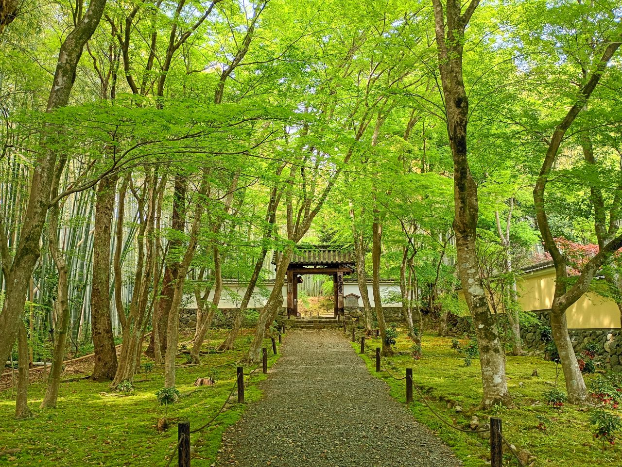 京都西山旅感プロデュース『ホテル京都エミナースから出発するコースを始めとした新緑の西山山麓ウォークラリー』