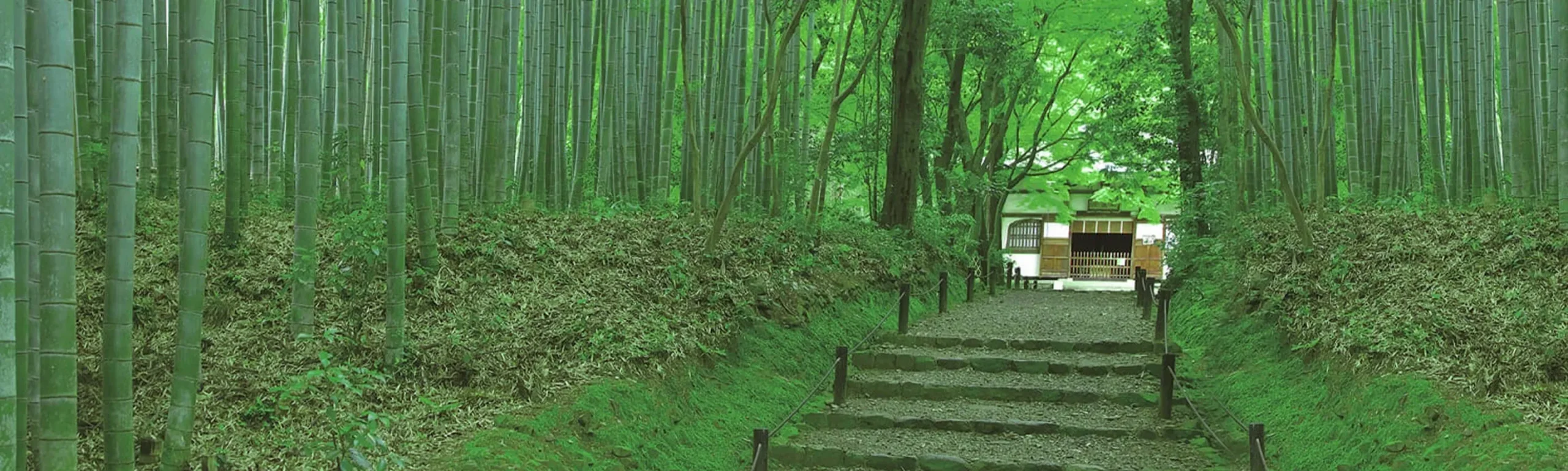 西京