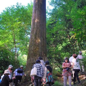 satoyama_activity_tour2026_thum satoyama_activity_tour2026_thum