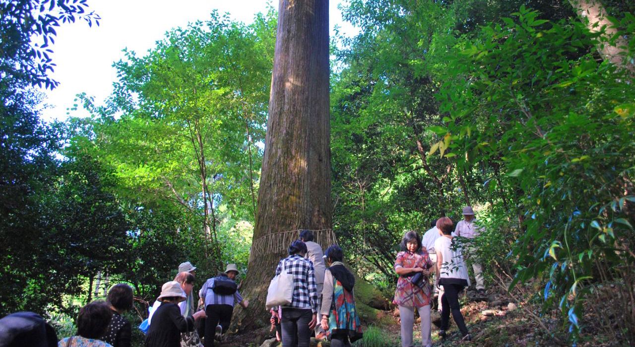京の里山 北山杉産地の奥深い魅力体験ツアー