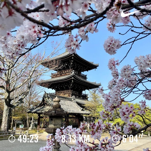 とっておきの京都プロジェクト